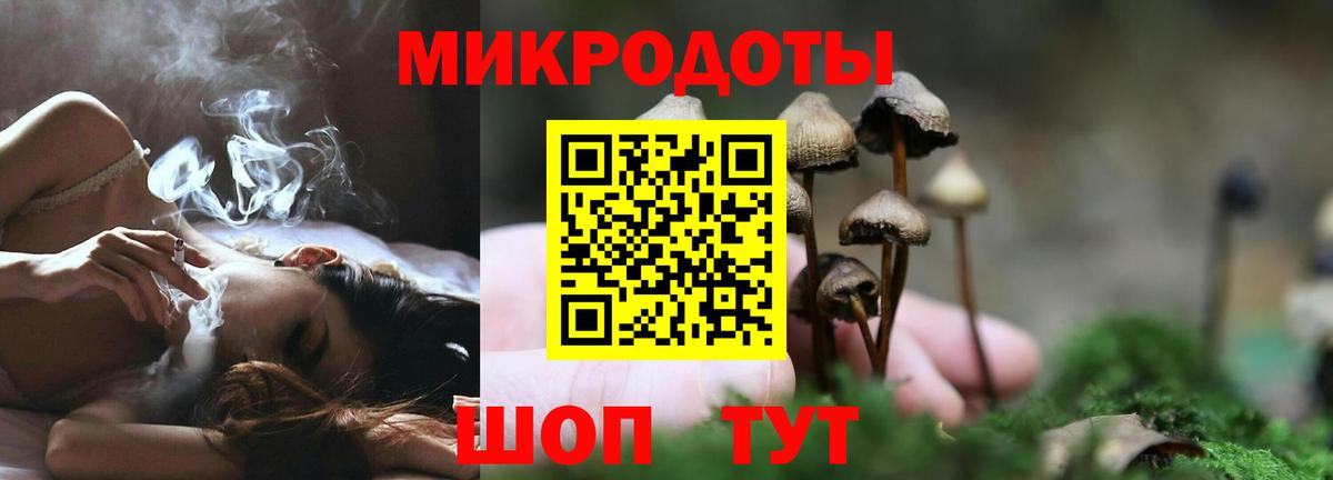 Бийск  закладка  Вход с VPN  Галлюциногенные грибы мицелий 