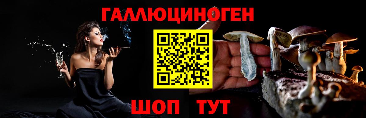 Галлюциногенные грибы прущие грибы Бийск